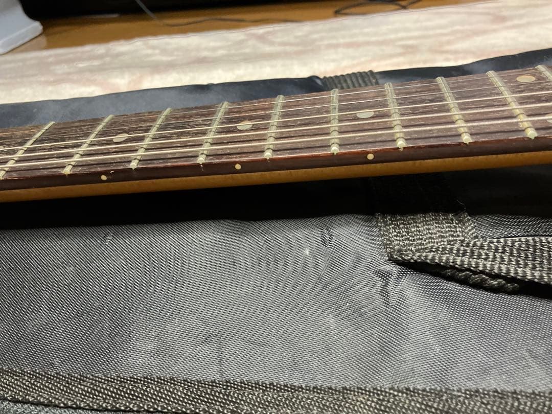 ジャンク！ZO3 FERNANDES エレキギター ソフトケース付き