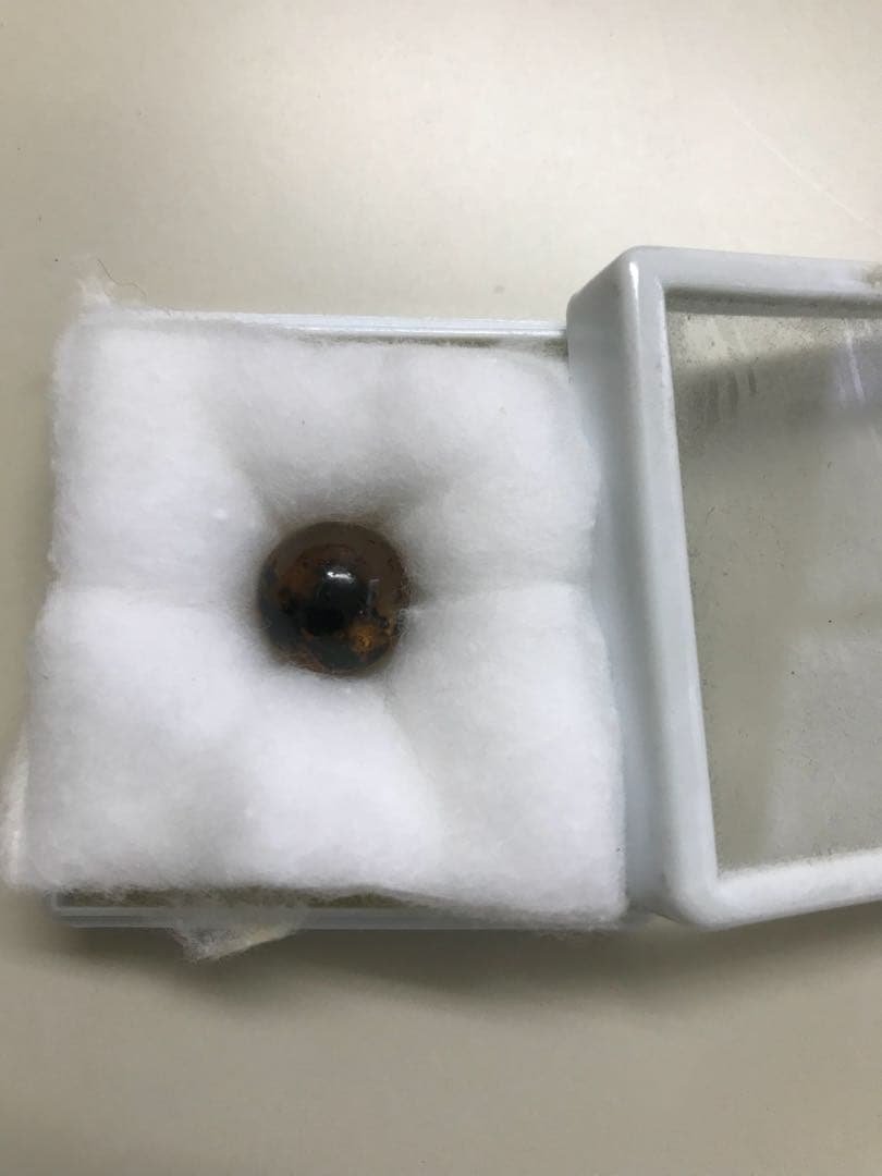 約 1cmの 珍しい ブラジル産 琥珀