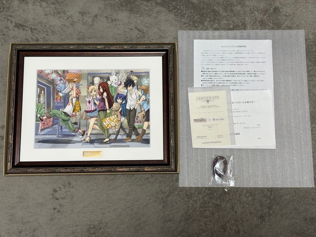 ハ*割様 フェアリーテイル　エムアイカード キャラファイングラフ A4 No.0