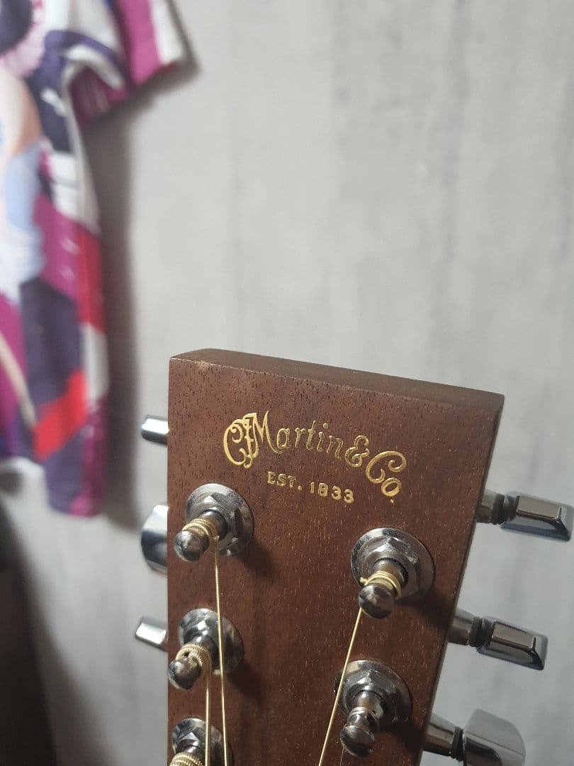 Martin backpacker マーチン バックパッカー