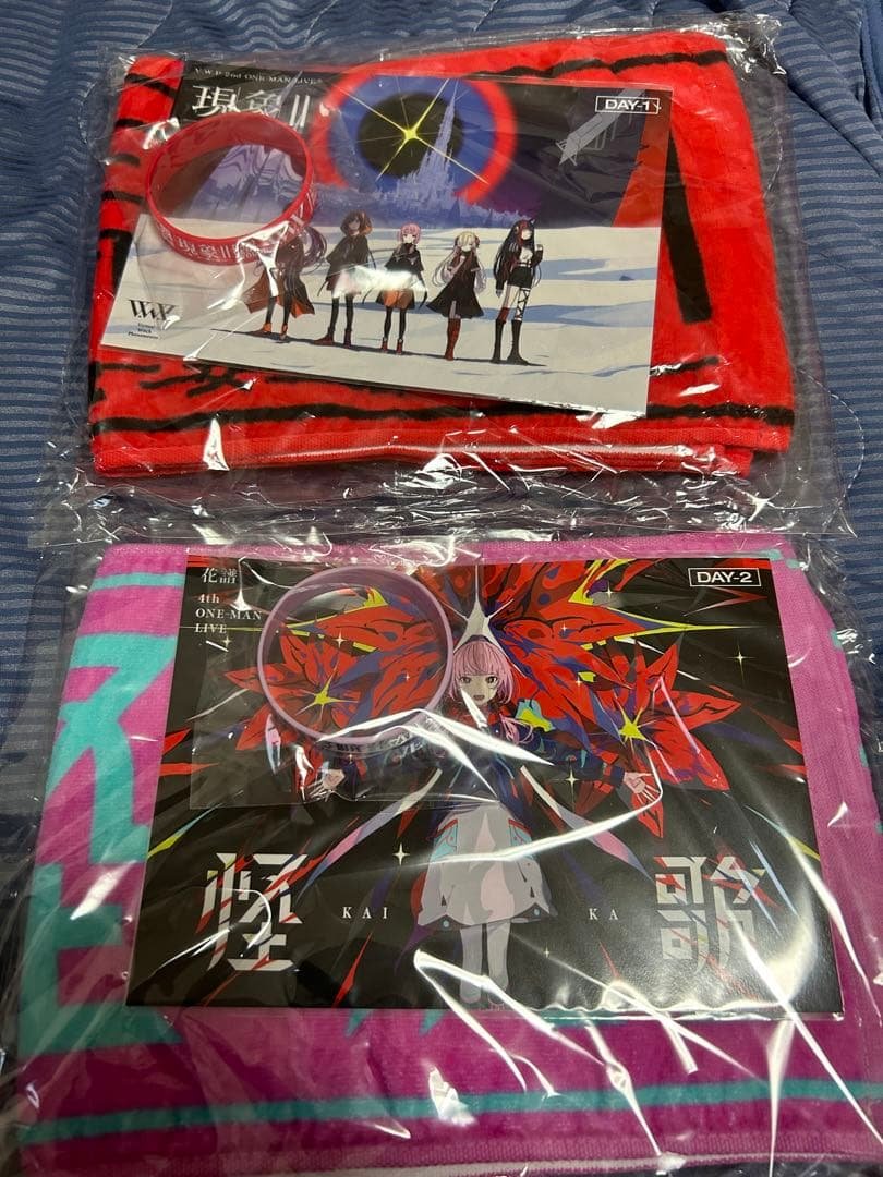 神椿代々木決戦 V.W.P 現象II 花譜 怪歌 プレミア指定席特典グッズ